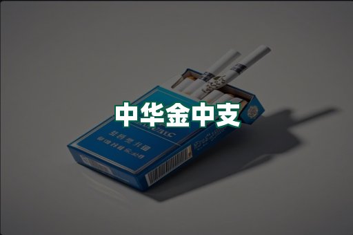 中华金中支